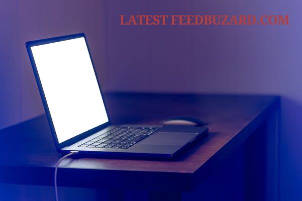 Latest feedbuzard.com